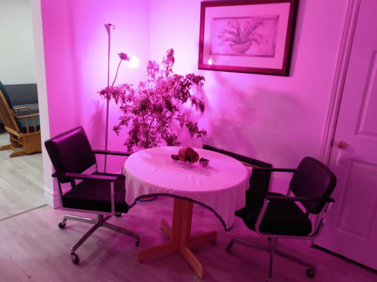 Healing Touch Holistic Living Space Amherst Buitenkant foto